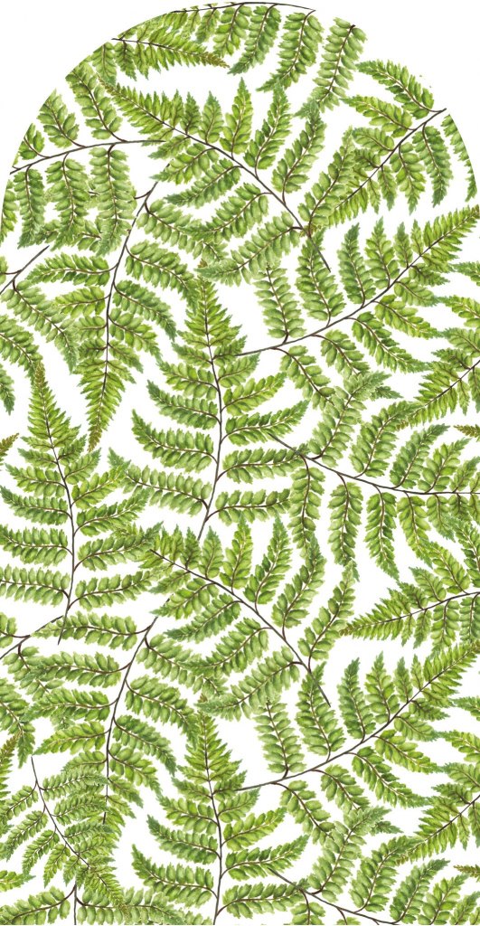 Jurrasic – Tapeta Łuk Standard