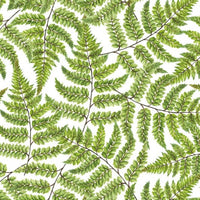 Jurrasic – Tapeta Łuk Standard