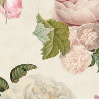 Roses Cream – Tapeta Łuk Standard
