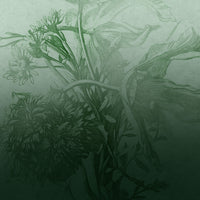 pattern_file