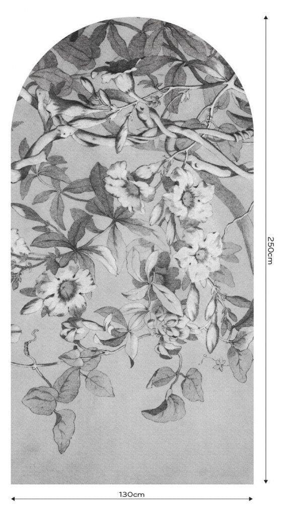 Alamanda – Tapeta Łuk Standard