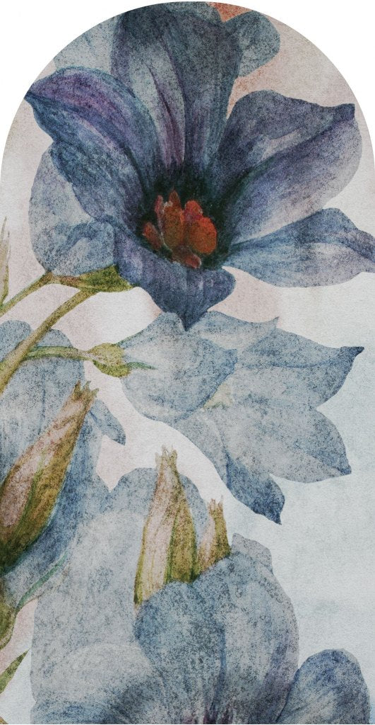 Antlia – Tapeta Łuk Standard