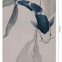 Koi – Tapeta Łuk Standard