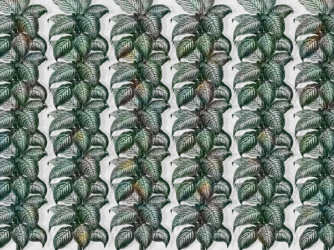 pattern_file