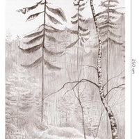 Bosco – Tapeta Łuk Standard