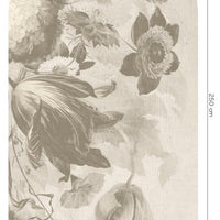 Boudoir Greige – Tapeta Łuk Standard