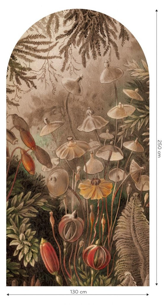 Fairytale Classic – Tapeta Łuk Standard
