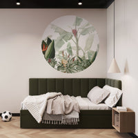 Rainforest Safari – Tapeta Koło Standard
