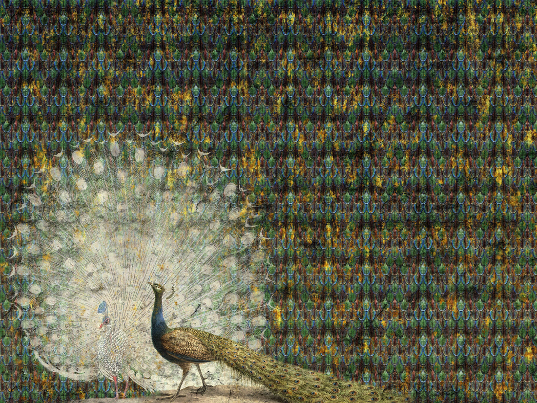 pattern_file