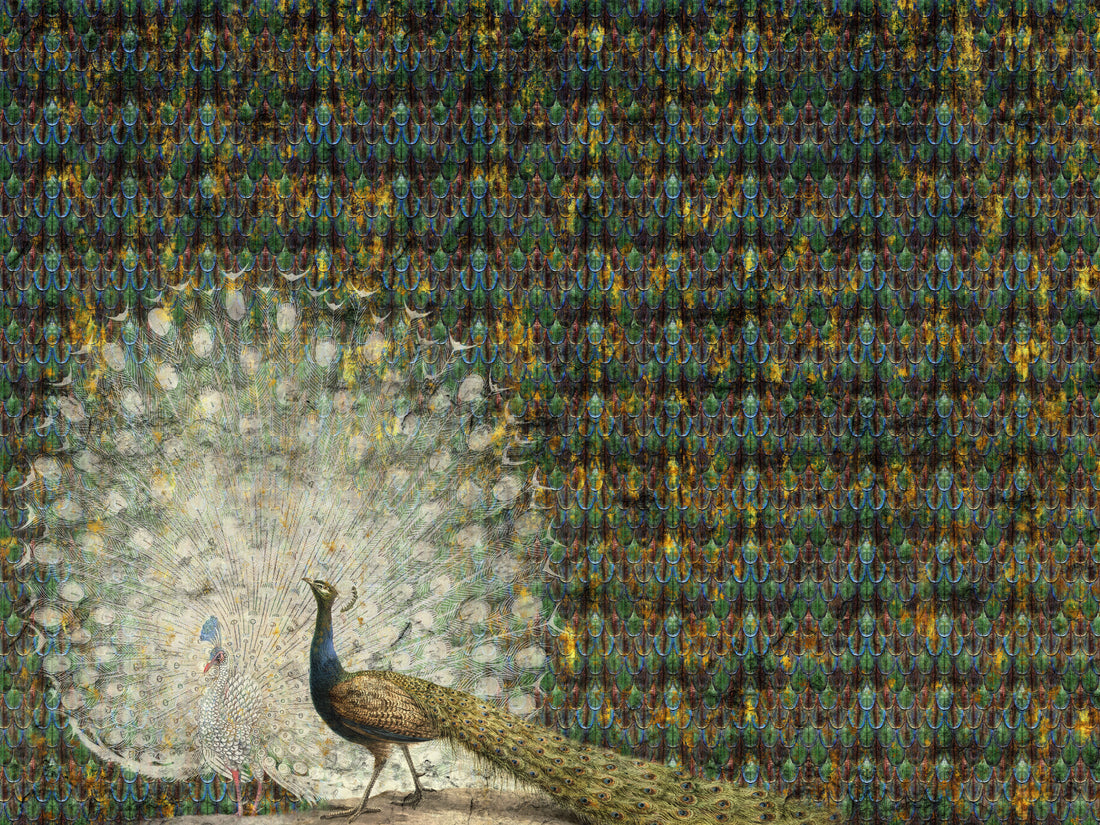 pattern_file