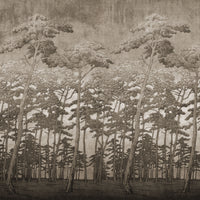pattern_file