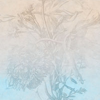 pattern_file