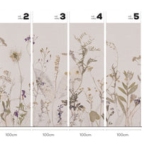 Campo di erbe – tapeta w rolce