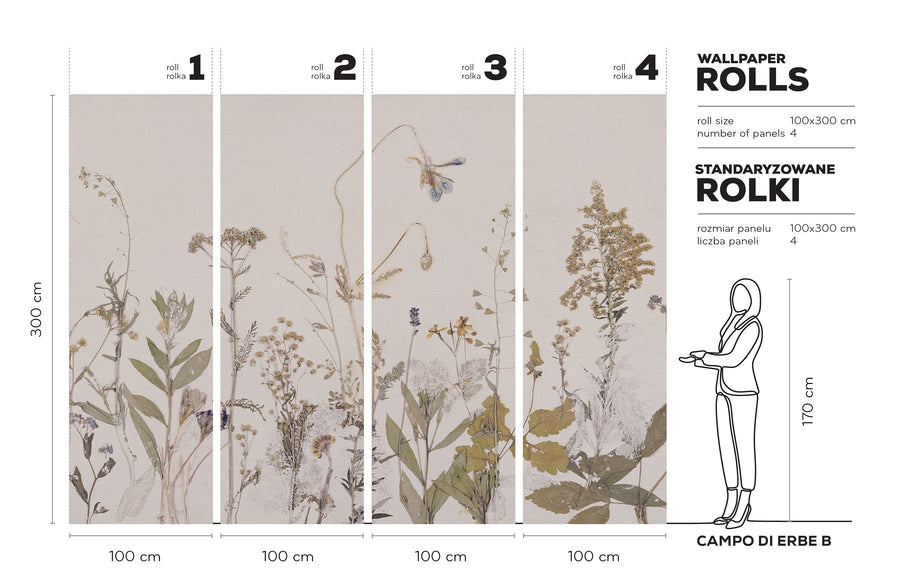 Campo di erbe B- Tapeta w standaryzowanych rolkach