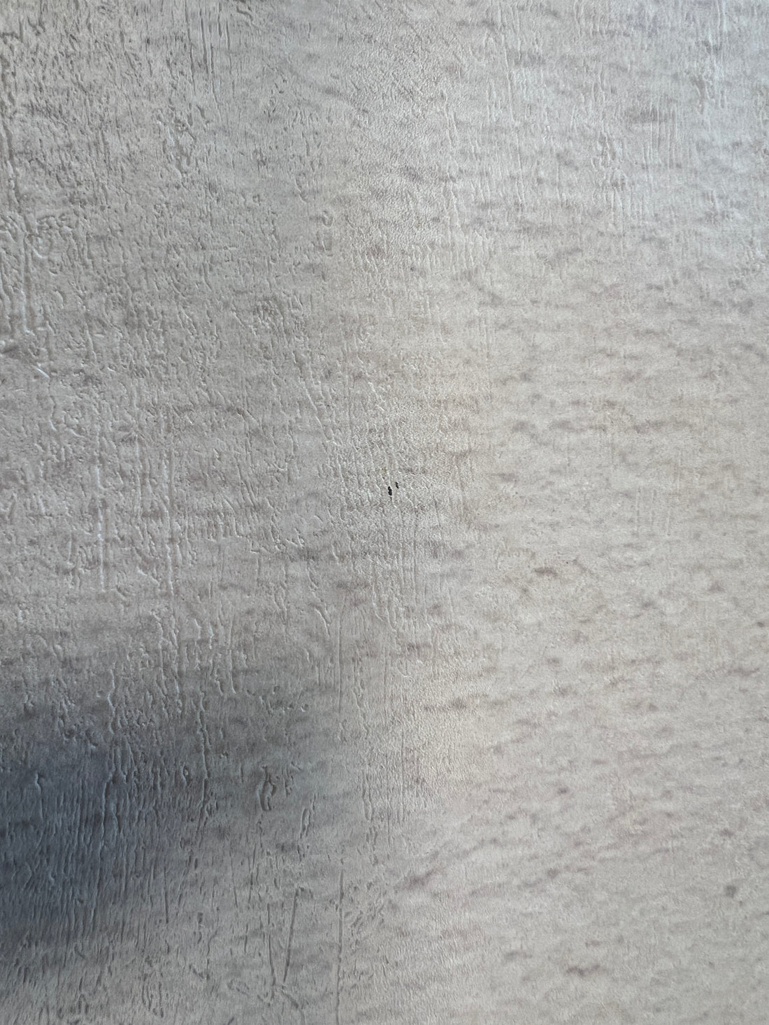 Campo di erbe concrete 595x257