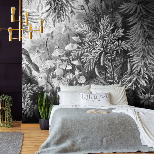 Fairytale B&W - Tapeta w standaryzowanych rolkach